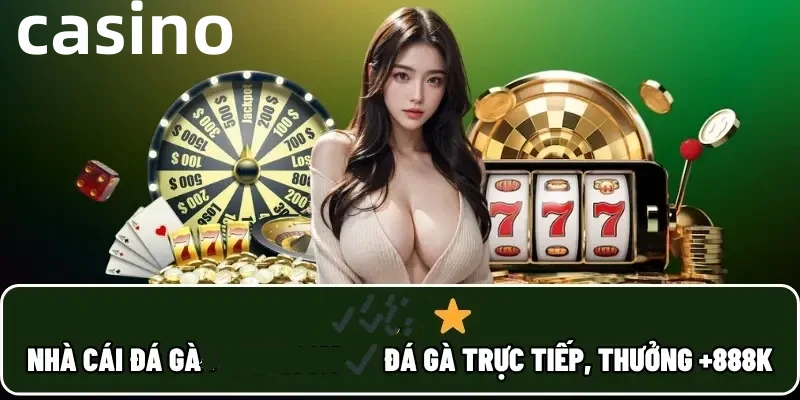 tt6